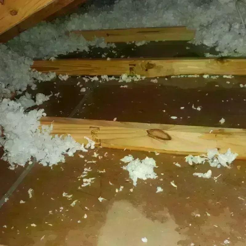 Attic Water Damage in Benton County, MN