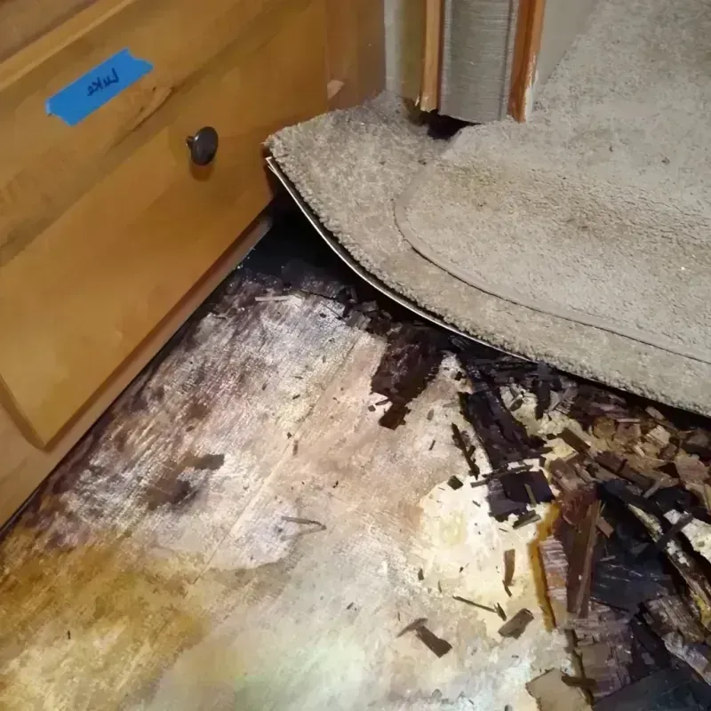 Wood Floor Water Damage in Benton County, MN